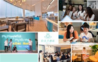堅(jiān)持與消費(fèi)者共頻 白玉蘭品牌第五十家酒店華麗綻放的運(yùn)營之道