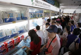 世博特許商品 鞋帽家紡引領銷售熱潮，鞋帽批發(fā)市場活力彰顯