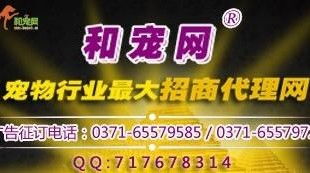寵物食品行業(yè)新浪潮 線上招商代理與網(wǎng)絡(luò)銷售一體化趨勢探析